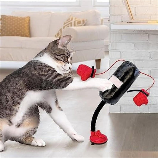 🔥Last Day Buy 2 Get 1 Free Each $ 9.99🔥Interactive Cat Punching Boxing Toy– Spring-Loaded Boxing Gym