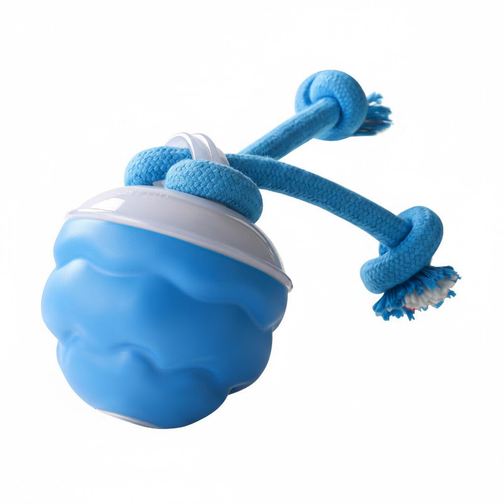 Smart Interactive "Dancing" Dog Ball